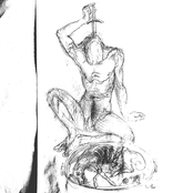 Broken Branches and Torn Roots