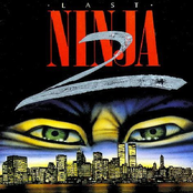 The Last Ninja 2