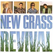 New Grass Revival - New Grass Revival Artwork