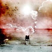 I Could Walk On Water, But I'd Rather Part The Sea