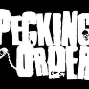 pecking order