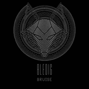 Bruise
