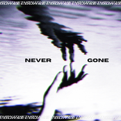 Never Gone