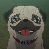 apo ザ·犬 。