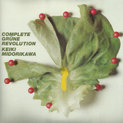Complete "Grüne Revolution"