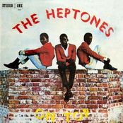 We Are In The Mood by The Heptones