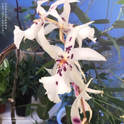 내 방안은 푸른 바다