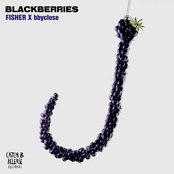 Blackberries