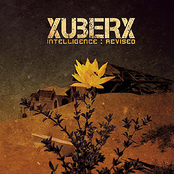 Intelligence : Revised