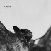 Temporal Resolution by Rm74