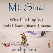 Wise Hip Hop V.3 - Soft Heart-Sharp Tongue