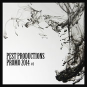 Pest Productions Promo 2014 Part.I