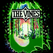 best of the vines