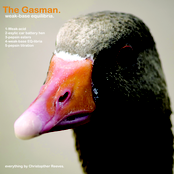 Pepsin Esters by The Gasman
