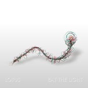 Lotus: Eat the Light