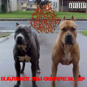 Калист, ты обречён...(ЕР)