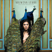 J'aimais Tant L'aimer by Nolwenn Leroy