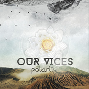 Our Vices: Polarity