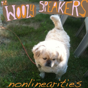 Nonlinearities