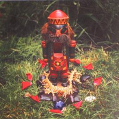 Angels of Light & Akron/Family