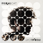 Feralcat