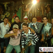 banda modello