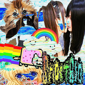 browsing the internet in the early 2000s