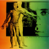 The Politics Of Ecstacy