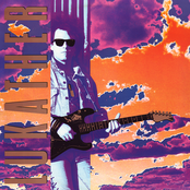 Turns To Stone by Steve Lukather