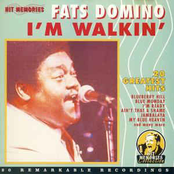 Wait And See by Fats Domino