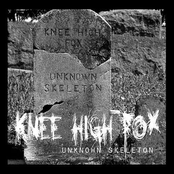 Knee High Fox: Unknown Skeleton