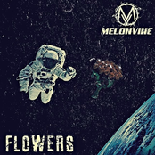 Flowers - Single