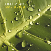 Hyper Engine by Herbal Essence