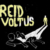 Reid Voltus