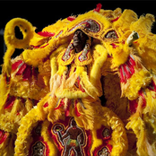 mardi gras indians