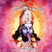 Nina Hagen: Om Namah Shivay