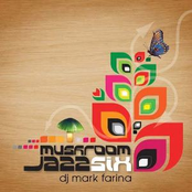 DJ Mark Farina: Mushroom Jazz 6