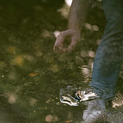 ivytide: moving song