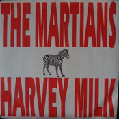 Martians & Harvey Milk