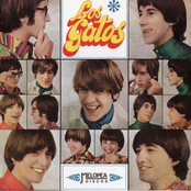 Viento dile a la lluvia