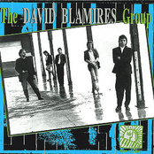 David Blamires Group