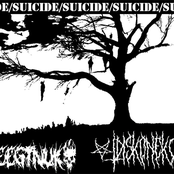 SPLIT SUICIDE