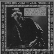 14 Songs for Greg Sage: Wipers Tribute