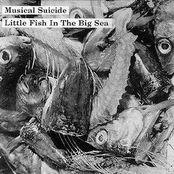 Little Fish In The Big Sea