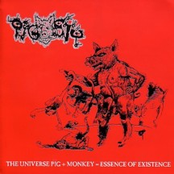 The Universe Pig + Monkey = Essence Of Existence 2001