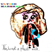 This Is Not a Placid Walk