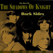 Someone Like Me by The Shadows Of Knight