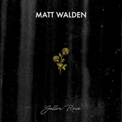 Matt Walden: Yellow Rose
