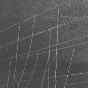 Archival Recordings: Primal Image / Beauty