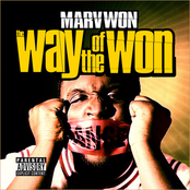 Way of the Won